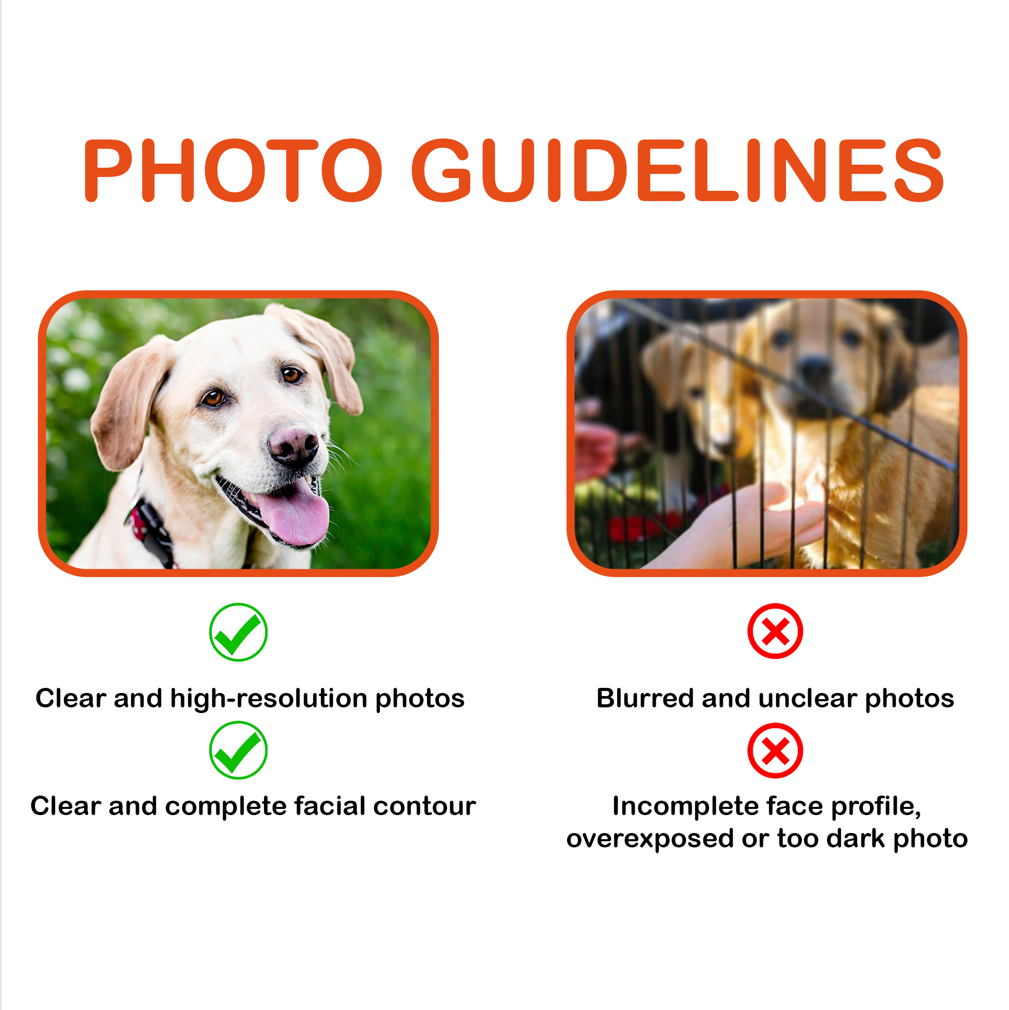 Custom Pet Embroidered Photo Tshirt, Personalized Dog Tshirt, Shirt for Dog Lovers